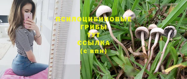 наркотики Алексеевка