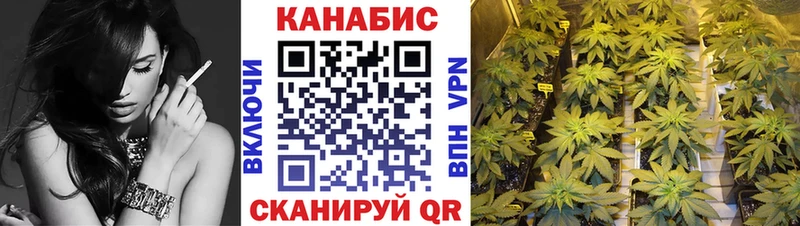 Конопля сатива  купить наркотики сайты  Зарайск 